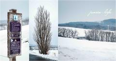 來日本北海道必看！拼布之路與Ken＆Mary之樹，欣賞雪景極致留白之美