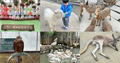 宜蘭親子旅遊推薦：蘭陽動植物王國提供動物互動體驗、豐富生態課程