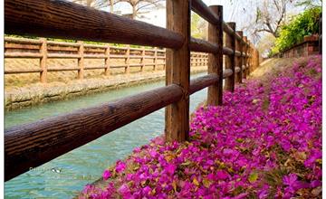 綠堤邊的紅花亭--南圳綠堤堤岸公園(台南新化)
