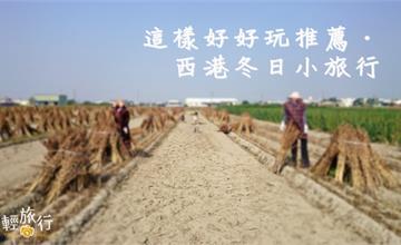 懶人出遊系列｜台南西港這樣好好玩．在地特色行程推薦之冬日小旅行