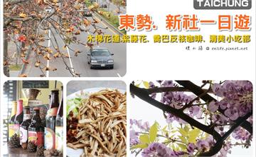 [台中東勢新社一日遊] 東勢木棉花. 新社紫藤花這樣玩：東勢河濱公園木棉花道、東勢清美小吃、東勢喬巴咖啡、新社詠惠生技紫藤花！