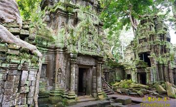 柬埔寨旅遊》世界文化遺產．塔普倫寺Ta Prohm，古墓奇兵、變型金鋼電影拍攝場景，吳哥窟必玩景點之一