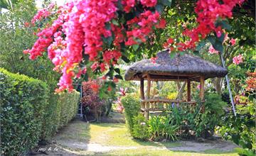 南州糖廠後的祕密花園｜屏東私房景點，南州一日遊