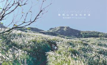 《台北士林》陽明山冷水坑步道，秋天限定的銀白色山巒