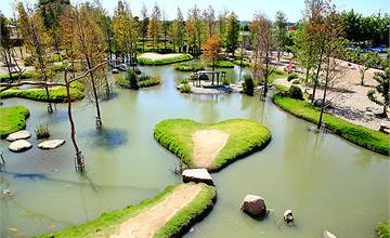 【雲林】澄霖沉香味道森林館，台版兼六園日式庭園造景，還有美麗落羽松！