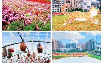 淡海輕軌幾米主題公園，淡水最新景點！搭輕軌與幾米吃美食、看花海、逛公園