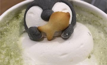 桃園中壢｜超療癒！快來看企鵝洗澎澎，Numbear 13 Cafe北歐風格的清新咖啡館