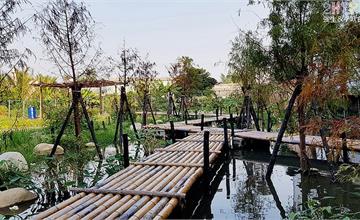 花渲光明島｜從700多坪荒廢農地改建的城市小秘境～小橋流水、柳樹和落羽松步道，就在烏日光明社區裡！