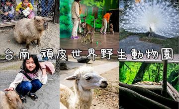 台南｜南台灣最大的野生動物園，頑皮世界：超近距離餵食呆萌水豚，大小朋友玩得不亦樂乎