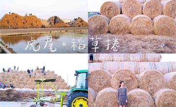 【雲林 Yunlin】虎尾巨大稻草捲。大小朋友的遊樂場