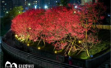 台北｜內湖樂活公園夜櫻季，城市裡也能賞櫻浪漫櫻花步道就在捷運東湖站