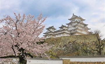 日本姬路城|賞櫻重點整理:交通門票、拍攝點、置物櫃,世界文化遺產&日本四大國寶城