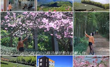 嘉義阿里山│18號阿里山公路沿線景點 私房景點 住宿懶人包