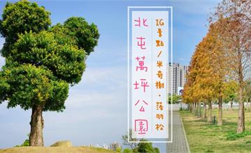 台中｜北屯萬坪公園親子野餐地點推薦，落羽松大道已轉紅，建議先去大雅麥田再來野餐拍照