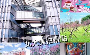 新北｜賞櫻秘境！北大四大美拍點：心湖櫻花步道／圖書館／阿默蛋糕／法律學院