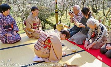 日本千葉｜成田山公園梅祭／野点品茶詩情畫意