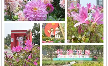 台北杜鵑花季全攻略!大安森林公園熊出沒,萬紫千紅杜鵑逼宮櫻花。