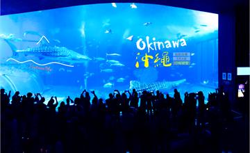 日本｜沖繩自助自駕5天4夜行程總覽