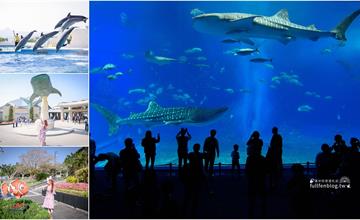 沖繩│美麗海水族館，來全世界最大水族館看見最美鯨鯊！