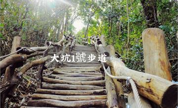 台中｜大坑1號步道，海拔高度介於395至700公尺之間，稍有挑戰性