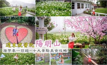 台北｜陽明山季節限定！十大好拍景點+美食，一條路線攻略海芋季～