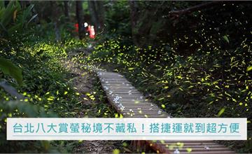 搭捷運就到！台北八大賞螢秘境不藏私大公開