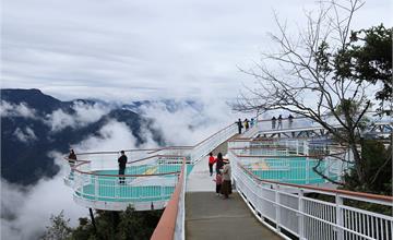 南投｜清境高空觀景步道，徜徉雲霧海、漫步櫻花林～