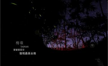 浪漫台三線》春遊台南發現最美賞螢、賞星空秘境