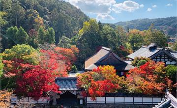 【京都】南禪寺散策：京都賞櫻賞楓熱門必去景點，唯美壯觀。南禪寺周邊景點＆美食地圖