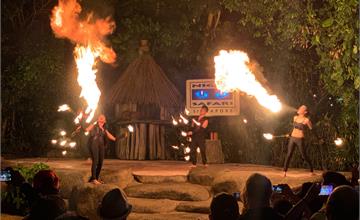 新加坡│夜間動物園:玩樂超值重點整理!交通接駁&便宜門票,別傻傻只搭遊園車