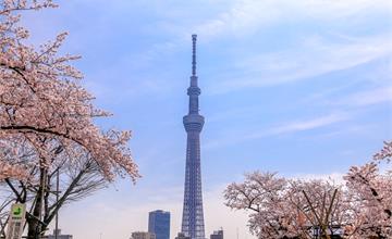 【日本】東京晴空塔TOKYO SKYTREE展望台攻略：超值門票預訂、交通方式、晴空塔實際體驗、推薦美食總整理