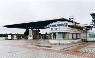 國營常陸海濱公園｜日本茨城縣春天賞粉蝶花，夏秋欣賞掃帚草的最佳地點