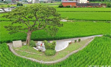 苗栗銅鑼｜200年歷史田心伯公，龍貓土地公，自然田園風光