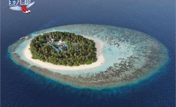 馬爾地夫│悅椿伊瑚魯度假村Angsana Ihuru的浪漫假期