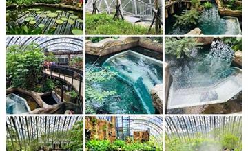【木柵動物園穿山甲館】2019台北最新景點/全台唯一室內亞馬遜河熱帶雨林館/館內空中步道水底隧道親近動物