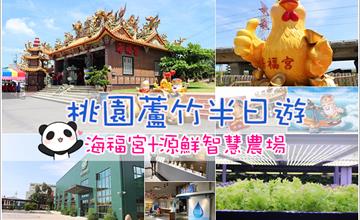 蘆竹｜桃園蘆竹半日遊．海福宮拍彩繪牆求金雞母、源鮮智慧農場看亞洲最大聽音樂長大的蔬菜