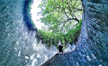 新加坡｜福康寧公園神秘螺旋梯，最隱密的IG打卡點！順遊超好拍舊禧街警察局彩虹門窗