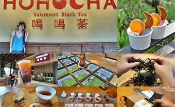 南投魚池｜Hohocha喝喝茶，日月潭紅茶觀光工廠免費入園一日遊