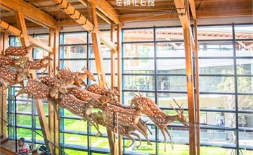 台南｜左鎮化石園區，全台第一座以化石為主題的博物館，一起穿越回到幾千萬年前的時空