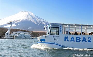 富士山這樣玩！從路上開進山中湖的觀光巴士：KABA BUS 河馬巴士