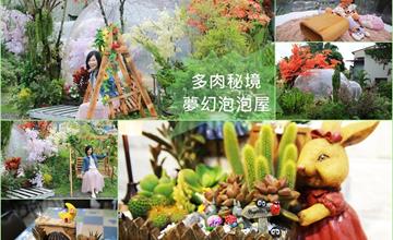 南投｜多肉秘境，墜入神秘夢幻的多肉森林，流連小熊泡泡屋大星球楓葉銀杏妝點的秋意中