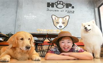 泰國曼谷狗狗咖啡廳｜HoPs Dog Cafe : The House of Paws Dog Cafe，狗派失心瘋的時刻到了！