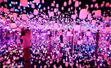 東京│teamlab Borderless台場：世界網紅齊聚最夯數位美術館