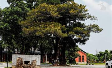百年日式水道老建築華麗變身 花園水道博物館國慶開幕