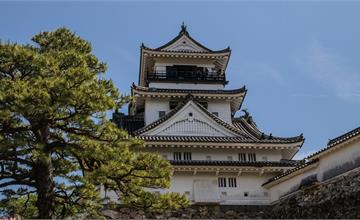 日本四國｜國寶級知名景點，高知城公園，日本僅存12座的現存天守之一