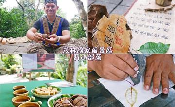 高雄桃源寶山部落，茂林國家風景區，寶山拿普原生茶有機茶園部落野趣茶席、採茶品茗、槌染體驗