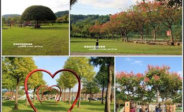 桃園｜孩子們的遊戲天堂，大溪河濱公園，台灣欒樹落羽松好繽紛