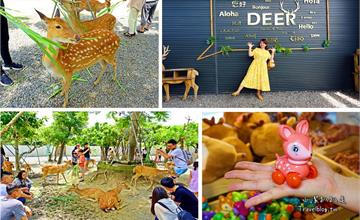 屏東恆春│鹿境梅花鹿生態園區:台版小奈良,零距離被小鹿包圍也太療癒吧!