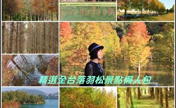 全台｜季節限定，精選全台落羽松16處景點懶人包