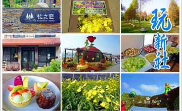 台中新社│2019台中國際花毯節、松之戀落羽松祕境、眉泉咖啡莊園、利旺文心蘭花園